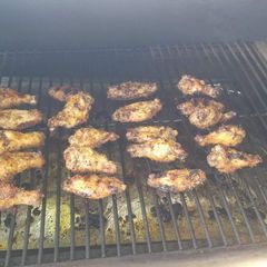 A picture of Wings.