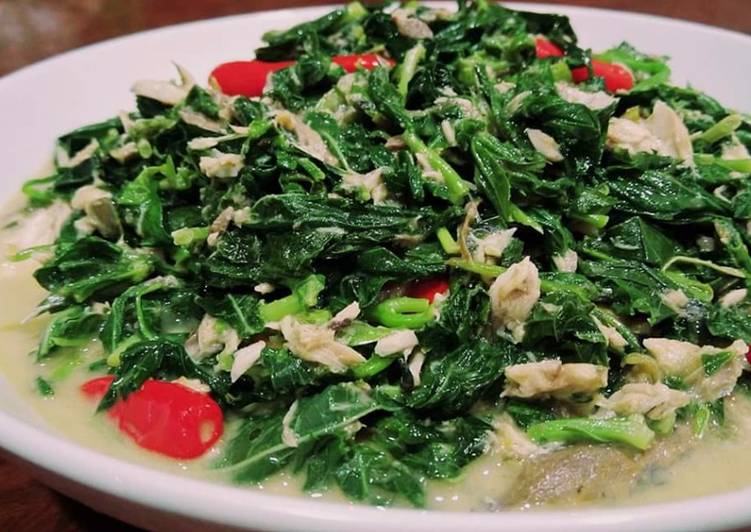 Resep Lodeh Daun Singkong | Cara Membuat Lodeh Daun Singkong Yang Sedap