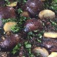 صينية طحال مشوي