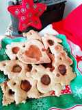 Biscotti di vetro gluten free