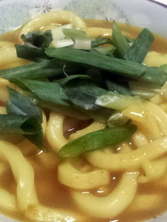 A picture of Japan Curry Udon.