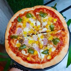 A picture of Veg pizza.