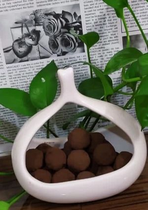 عکسی از دستور ترافل کلاسیک