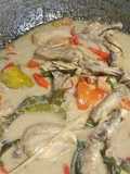 Opor Ayam from Padang (Chicken Braised in Coconut Milk)😍🍉🐤🍜