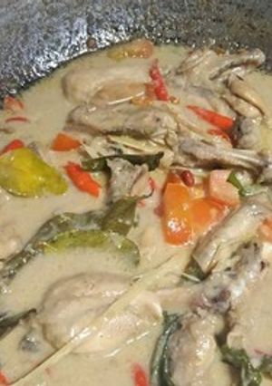 A picture of Opor Ayam from Padang (Chicken Braised in Coconut Milk)😍🍉🐤🍜.