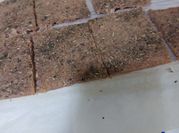Una foto de focaccia integral