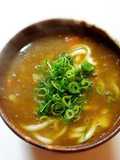Easy Leftover Curry Udon