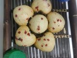 વેનીલા મફીન્સ (Vanilla Muffins Recipe In Gujarati)