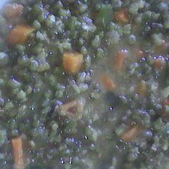 A picture of Pojo za kukaanga(green grams).