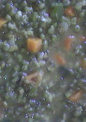 A picture of Pojo za kukaanga(green grams).