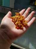 เมเปิ้ลไรซัป ซินนาม่อน กราโนล่า ด้วยหม้อทอดไร้น้ำมัน