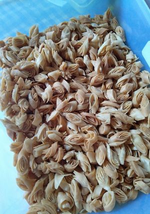 Foto resep Kulit pangsit gulung
