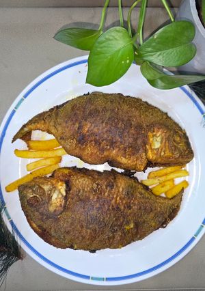 عکسی از دستور ماهی شکم پر جنوبی