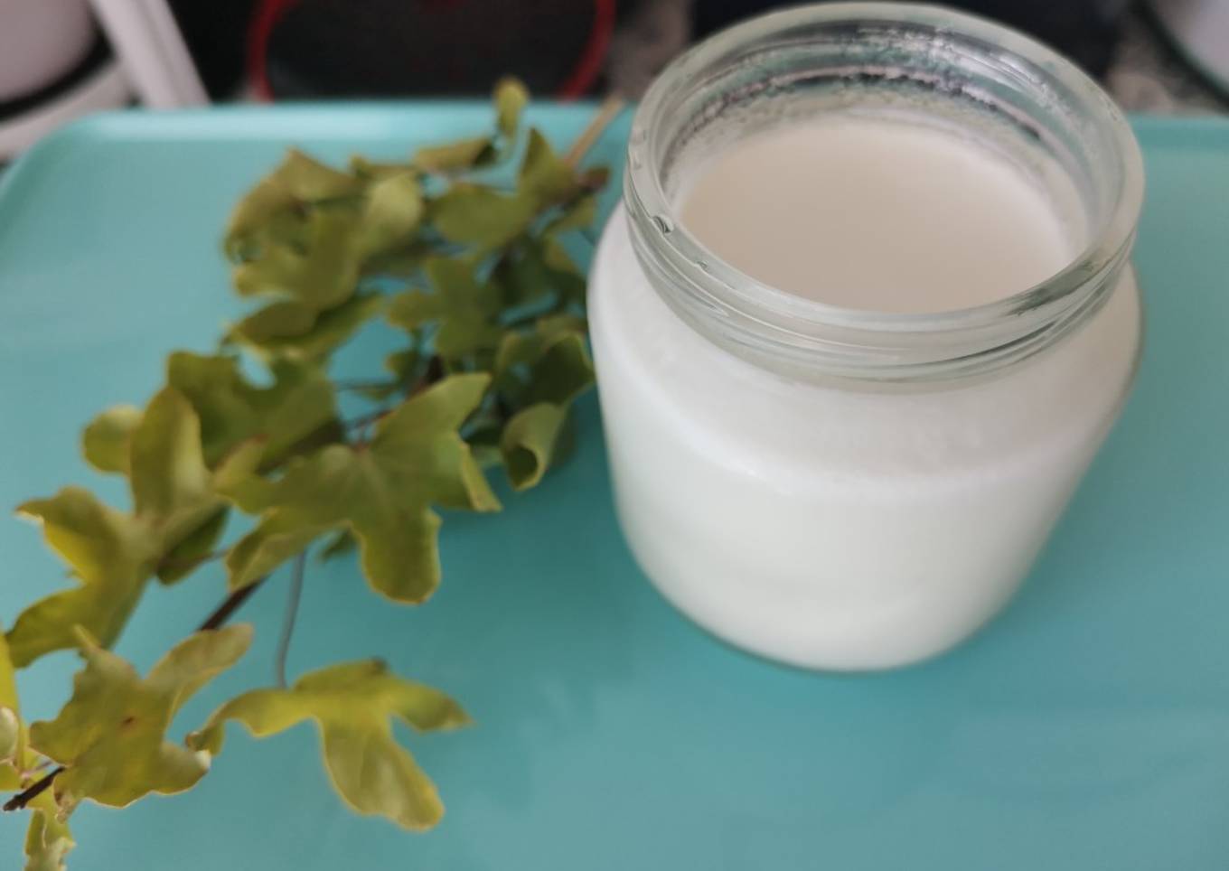 Yaourt maison à la noix de coco à la yaourtière