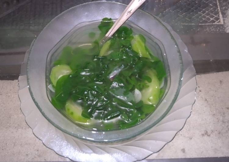 Sayur bening daun kelor temu kunci segar