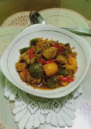Foto resep Oseng Terong lalap & teri medan