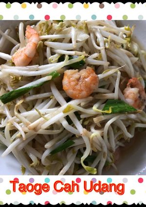 Foto resep Taoge Cah Udang