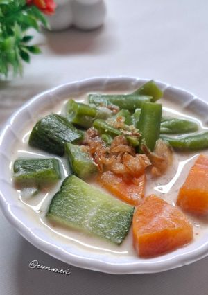 Foto resep Sayur BerSantan