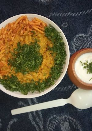 મોરૈયાની ટેસ્ટી ખિચડી રેસીપી મુખ્ય ફોટો