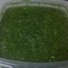 A picture of Chile Verde Sauce.