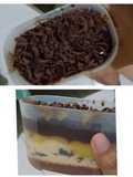 Puding berlapis