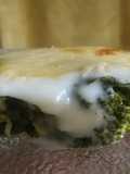 Brócoli y repollo gratinado