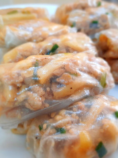 A picture of Vietnamese Spring Rolls with Pork and Bamboo Shoots.
