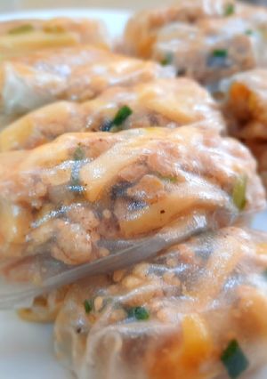 A picture of Vietnamese Spring Rolls with Pork and Bamboo Shoots.