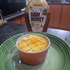A picture of Carnivore Pudding.