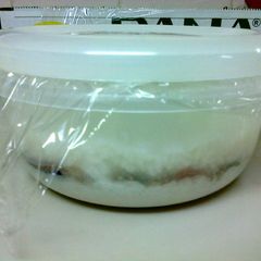 A picture of Burong Isda (Fermented rice with fish).