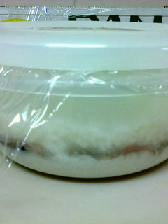 A picture of Burong Isda (Fermented rice with fish).