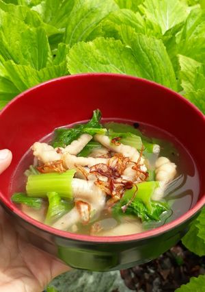 Foto resep Soup Ceker Ayam Sawi Pahit