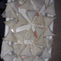A picture of Frozen beef samoosa.