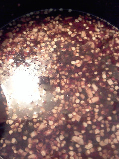 A picture of Spicy Sweet and Sour Sauce (bd style).