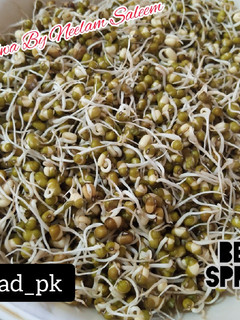 A picture of Bean Sprouts.