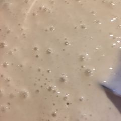 A picture of Vegan Sourdough Starter 🌱 #Breadwood.