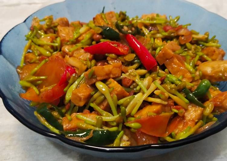 Tumis touco bunga pepaya tempe