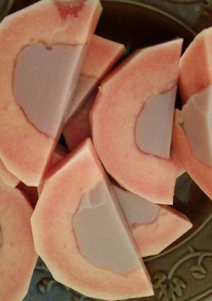 Foto resep Puding Pepaya sehat
