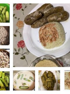 صورة لوصفة محشي كوسا باللبن والأرز