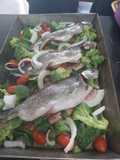 Trucha al horno