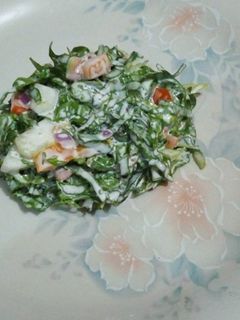 Kwadon ganyen salad ainihin hoton girkin