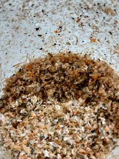 Foto resep Kaldu bubuk udang