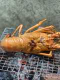 Tôm Hùm Nướng