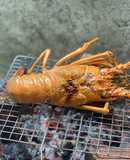 Tôm Hùm Nướng