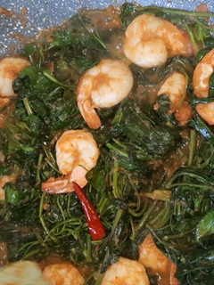 Foto resep Tumis kangkung