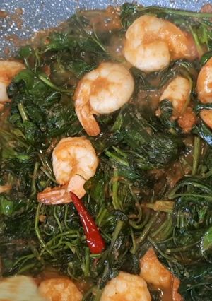 Foto resep Tumis kangkung