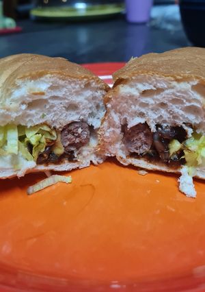A picture of JapaDog.