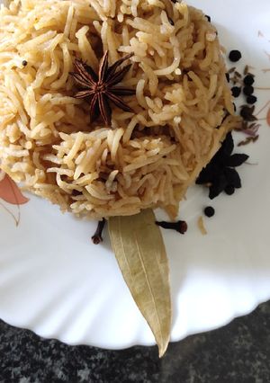 A picture of Sindhi pulav.