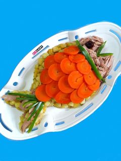 عکسی از دستور خوراک تن ماهی