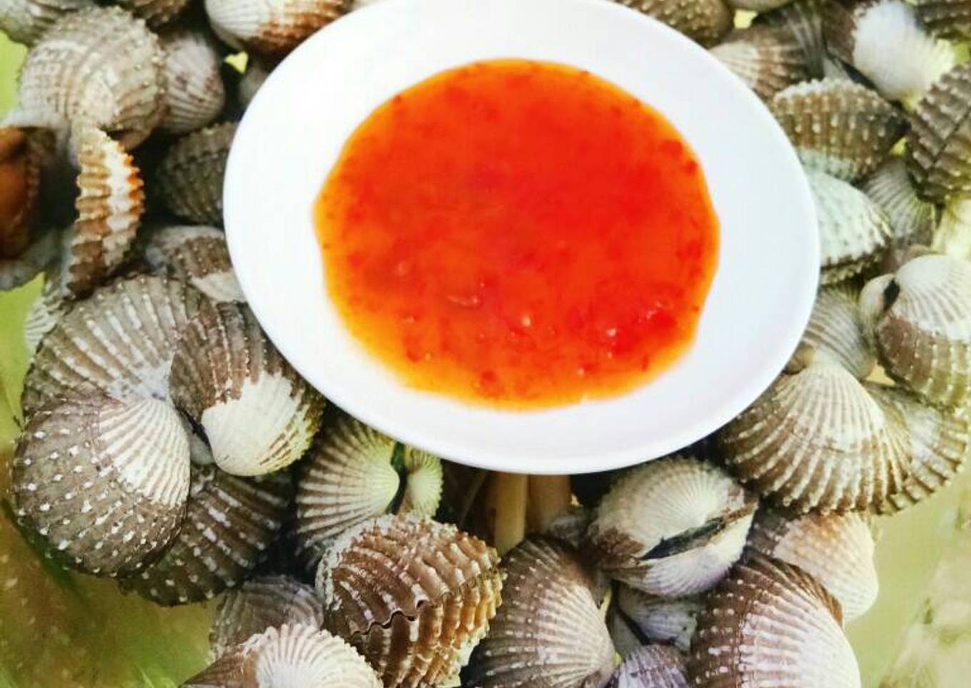 Kerang dara rebus